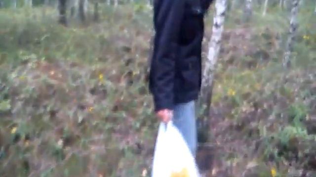 выживание в лесу в военное время смотреть онлайн