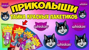 ? ПРИКОЛЫШИ ? ПОСЛЕДНИЙ ДЕНЬ АКЦИИ В МАГНИТЕ // Кошки ПОМОГЛИ собрать КОЛЛЕКЦИЮ (VLOG)
