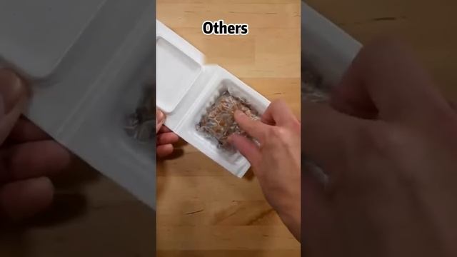 Laugh Your Heart Out With The Oscars' Amazing Video? |Oscar‘s Funny World|Cute And Funny Cat TikTok смотреть онлайн