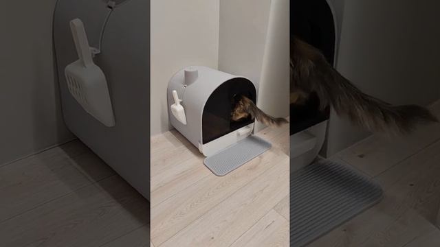 Туалет-домик для кошек смотреть онлайн