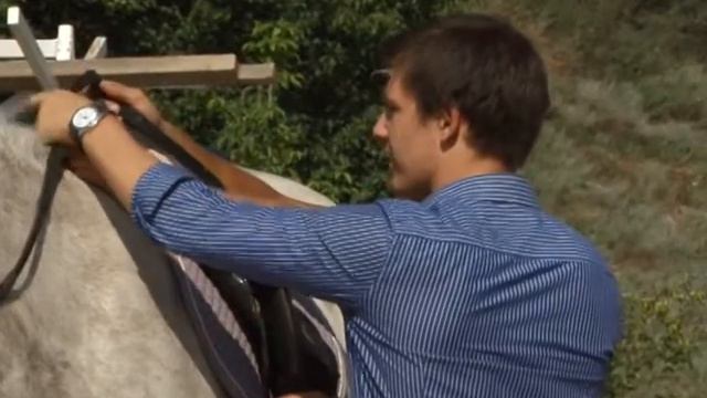 Лошади смотреть онлайн