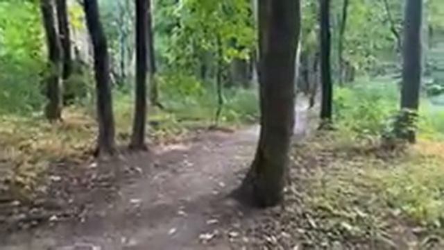 НЕ БУДЕМ ПОКУПАТЬ НОВЫЙ 15 АЙФОН! / АРИНА БЕЛАЯ смотреть онлайн