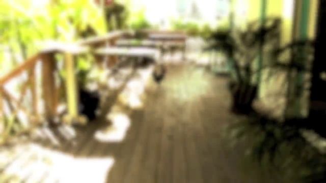 See Vibrant Harbour Island Bahamas Through My Eyes