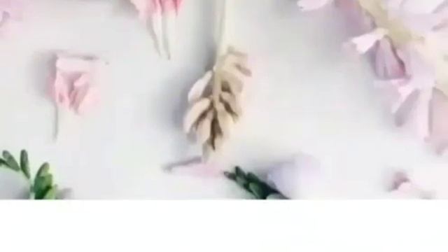 Как я устала от этих одноклеточных горе ухтишек ?? смотреть онлайн