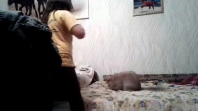 ахринеть как кошка высоко прыгает, ващеее пипец.....