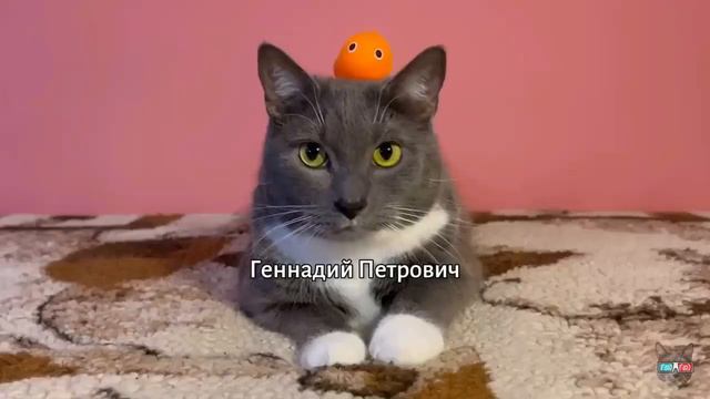 НИКОГДА НЕ СМОТРИ KOTIYNET В 3:00 смотреть онлайн