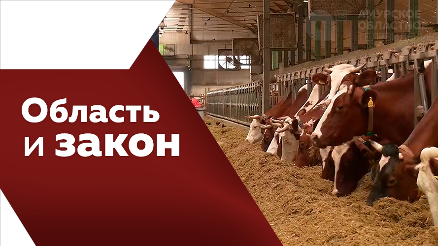 Область и закон Июнь.