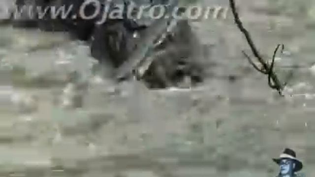 Python vs Alligator 16 -- Real Fight -- Python attacks Alligator смотреть онлайн