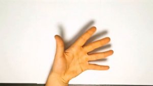 Семья пальчиков | Папа пальчик, где же ты | Пальчики шарики | Песня про пальчики | Family Fingers