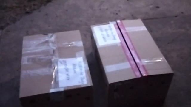 МУСКУСНЫЕ УТКИ, что новенького приобрели. ОБЗОР ХОЗЯЙСТВА смотреть онлайн