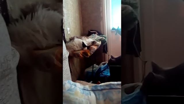 Для чего нужна гладильная доска смотреть онлайн