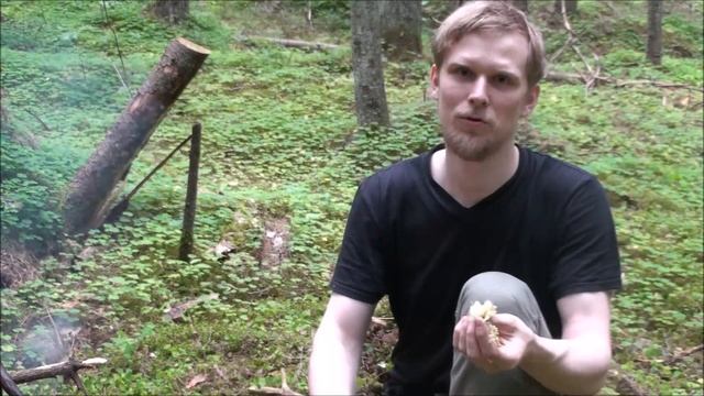 Походный ЧАЙ из ТАВОЛГИ / Spiraea Tea