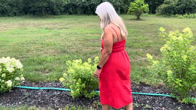 Proven Winners Quick Fire Fab Hydrangea Wedding Garden update смотреть онлайн