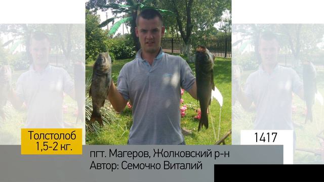 Фотоальбом - Рыбалка №283 смотреть онлайн
