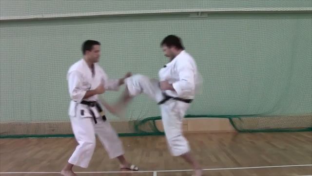 Mae-geri from Raspertov Evgeny смотреть онлайн