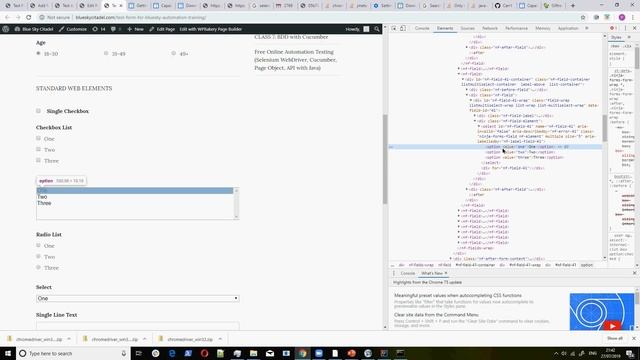 Inspecting Elements For Selenium WebDriver- Class 6C смотреть онлайн