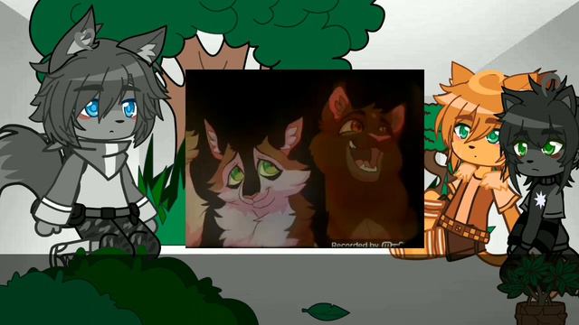 •| Реакция КВ на Кленовницу | 1/2 | Gacha Club |• смотреть онлайн