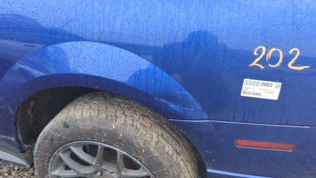 Finding A Cheap Alternator. CRAZY JUNKYARD GOLD!