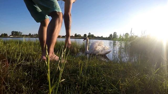 06.06.2015 смотреть онлайн