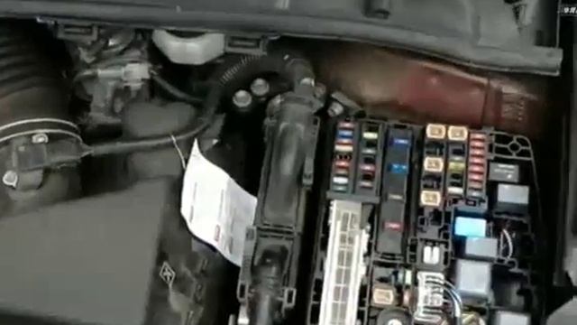 экспресс диагностика авто смотреть онлайн