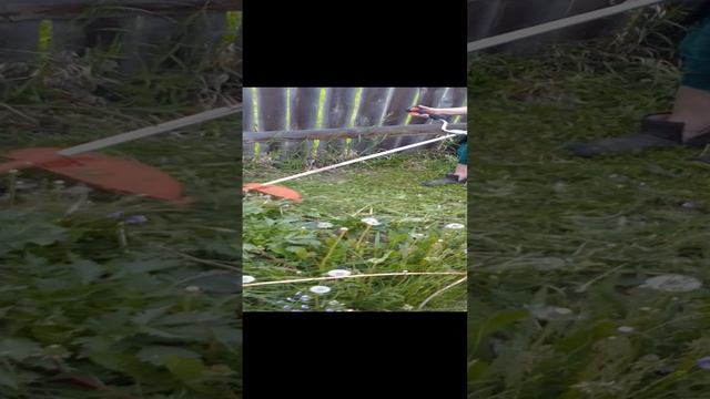 Самый любимый косарь .#работатримером #работынадаче