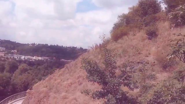 Зоопарк в Праге смотреть онлайн