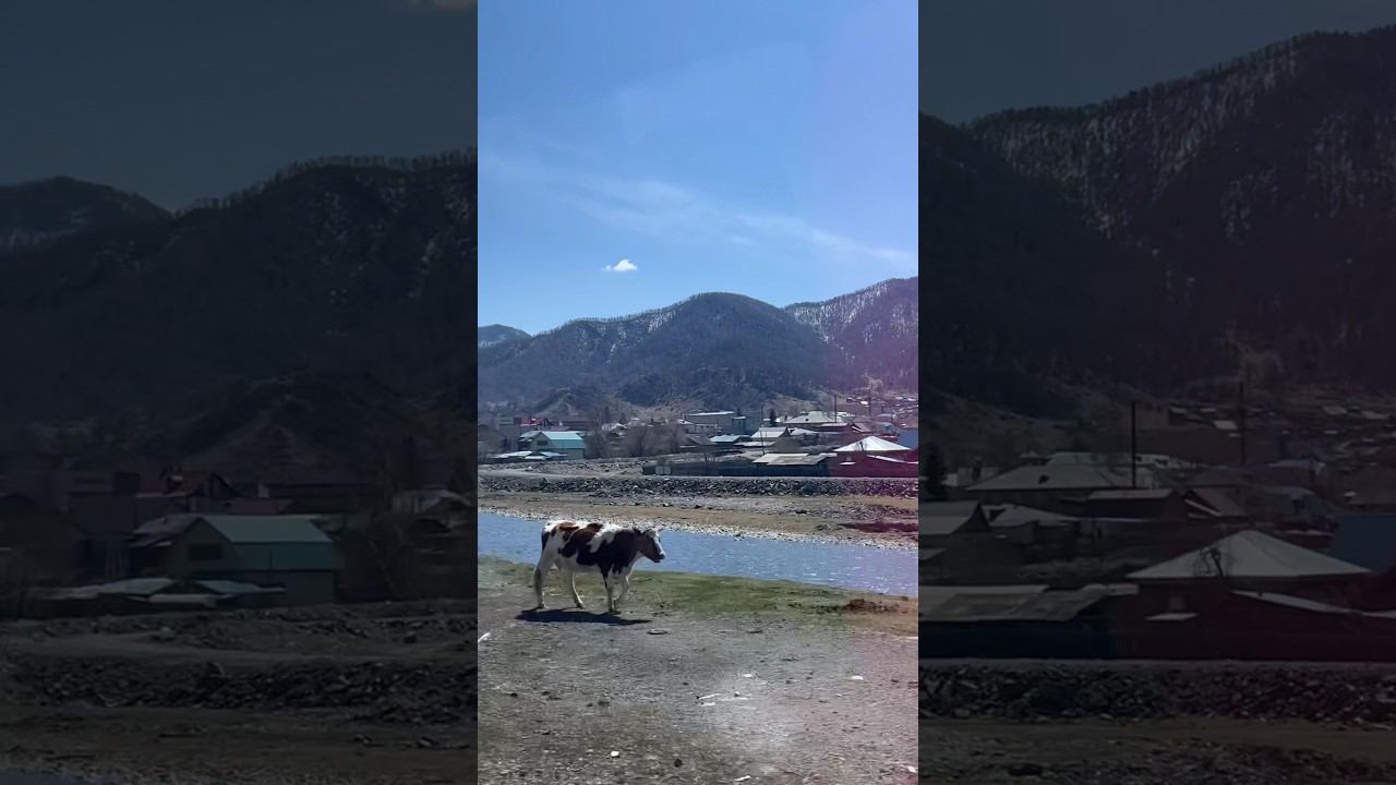 Алтай / Чуйский тракт #алтай #горы #чуйскийтракт #mountains смотреть онлайн