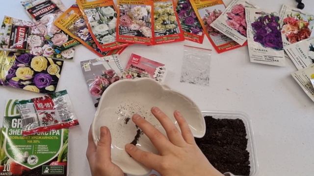 Выращивание из семян цветов эустомы! смотреть онлайн