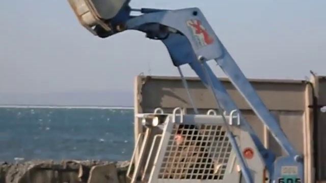 ФРОНТАЛЬНЫЙ ПОГРУЗЧИК TCM смотреть онлайн