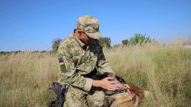 З депутата у солдати. Як мрія стала реальністю смотреть онлайн