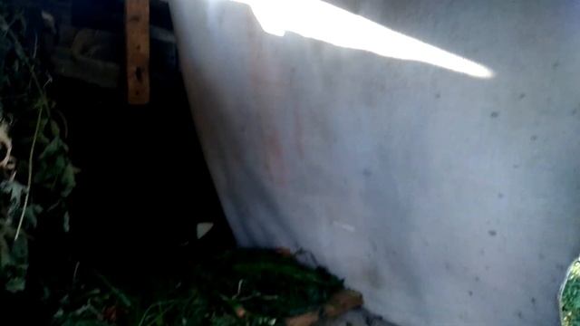 Как сушить травы кроликам. Моя сено сушка kroliki zhivotnovodstvo смотреть онлайн