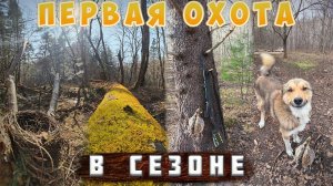 ПЕРВАЯ ОХОТА В ЭТОМ СЕЗОНЕ. ПРИЕХАЛ ИВАНЫЧ НА ПАСЕКУ.