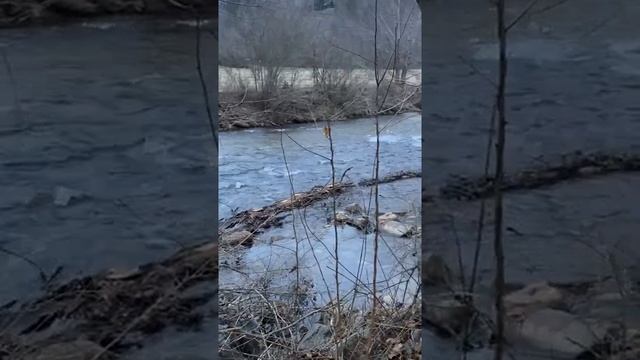 Расскажу Стих с детства под названием КАК ПРОХЛАДНО В ЧАЩЕ ЕЛОВОЙ смотреть онлайн