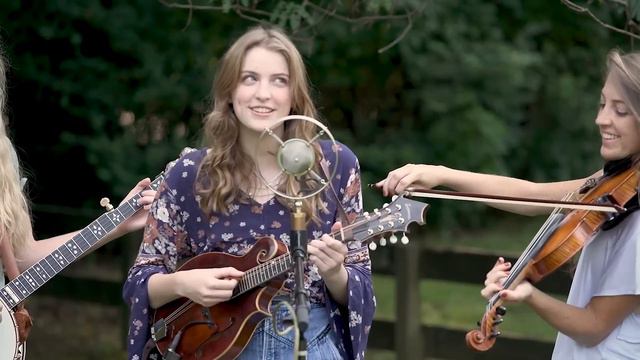Dreams - The Petersens (LIVE) смотреть онлайн