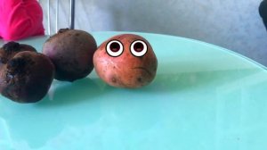 Изучаем овощи. Варим овощной суп. Хозяйка однажды с базара пришла