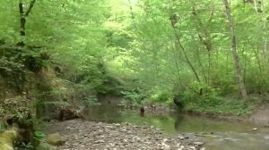 24_04_2016_Хостинский район,Сочи,река Агура._ Агура