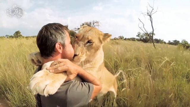 Man and Lion Love 😍😍 Whatsapp Status смотреть онлайн