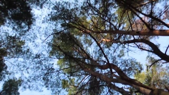 Пикник 09 03 2015 смотреть онлайн