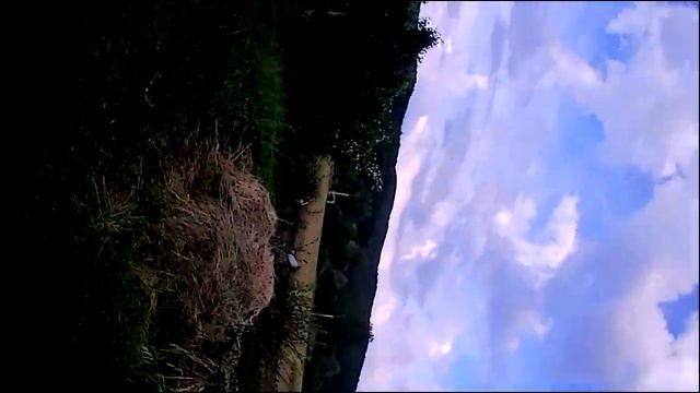2/2 Eachine e58 drone cuts engines and falls to the ground. 10s смотреть онлайн