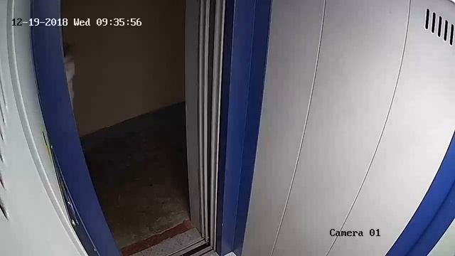 Изображение 1Мп Ip камеры HiWatch DS-I103 в лифте