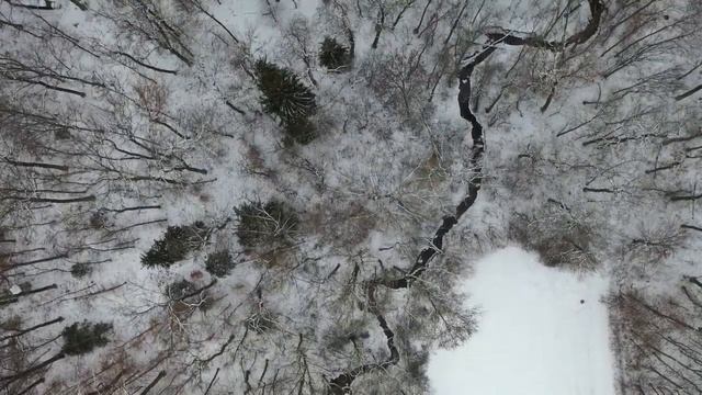 Иосиф Бродский "Большая элегия Джонну Донну" (отрывок). Читает Рустам Зантария смотреть онлайн