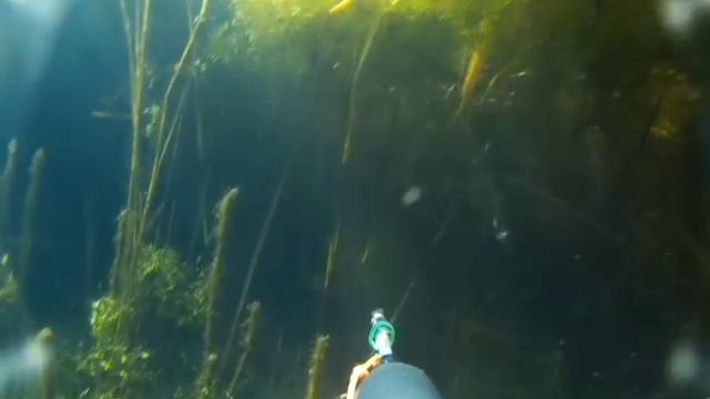 Заветное озеро смотреть онлайн