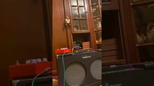 Комбо усилитель Vermona Regent 300K