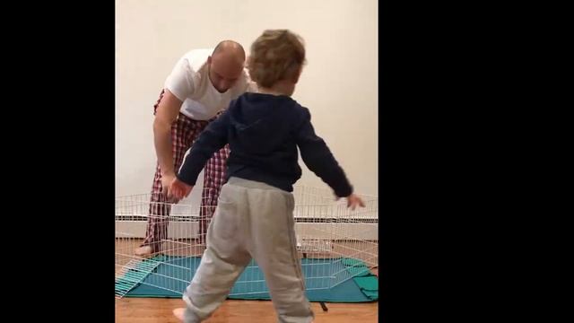 дети и животные - наша морская свинка Пеппа - собираем клетку guinea pig habitat cage смотреть онлайн