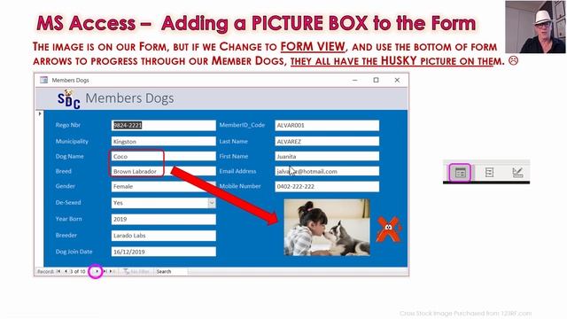 MS-Access Images and Rectangles on Forms for Southern Dog Club DB - MS-Access Form Images Tutorial смотреть онлайн