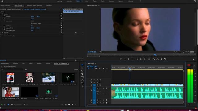 Adobe Premiere для начинающих: панель Effect controls/ Adobe Premiere for Beginners: Effect control смотреть онлайн