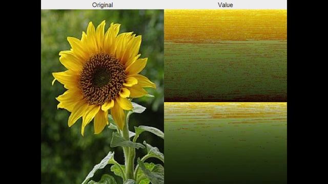 Sorting Pixels in an Image Using Merge Sort смотреть онлайн
