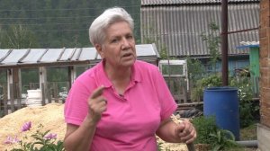 Голова садовая - ВАЖНО! Как ухаживать за капустой