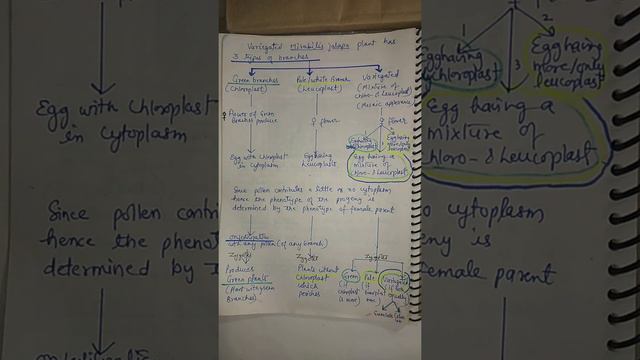 Cytoplasmic inheritance in Mirabilis jalapa by Dr Pragya Joshi смотреть онлайн