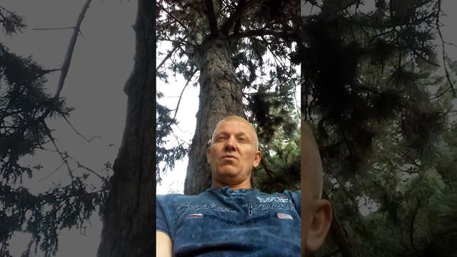 Чехия, работа "клиенты") смотреть онлайн